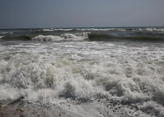 Byala Relax Lejlighed